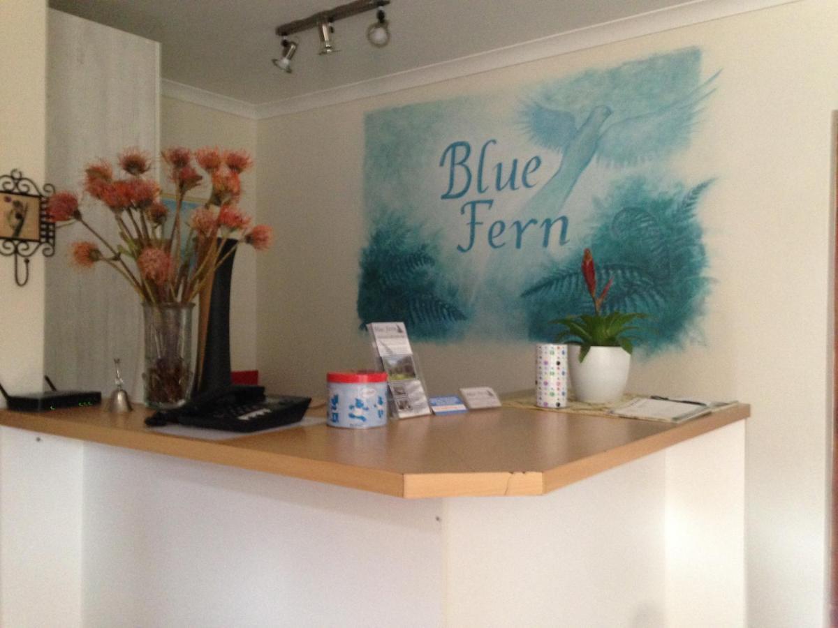 Blue Fern Of Knysna Bed and Breakfast Exteriör bild