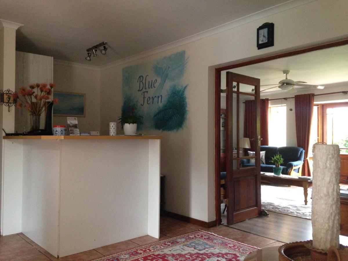 Blue Fern Of Knysna Bed and Breakfast Exteriör bild