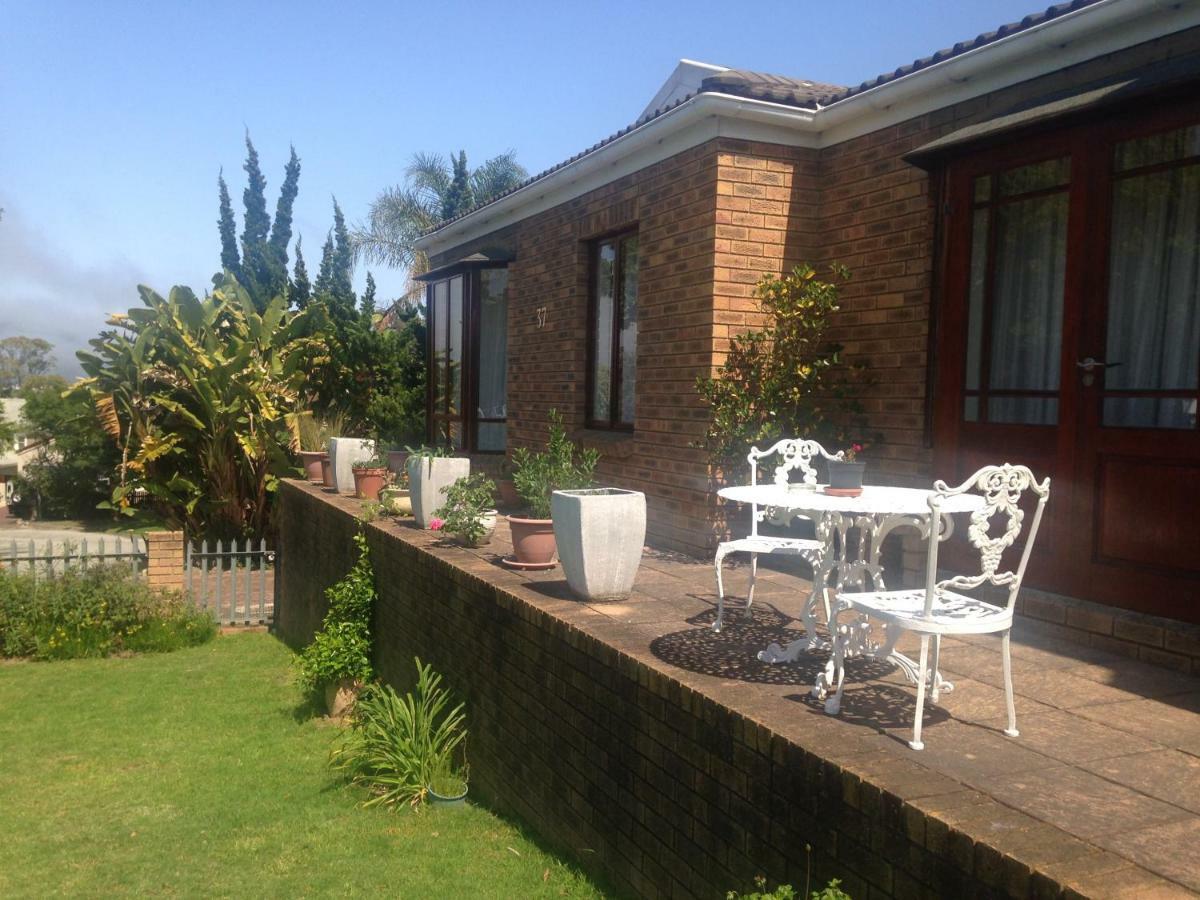 Blue Fern Of Knysna Bed and Breakfast Exteriör bild